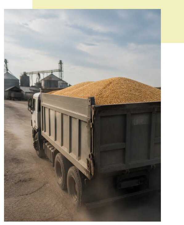 Перевозка сельхозпродукции навалом в Кострому по цене от 3063 р. | Агросервис-Кст