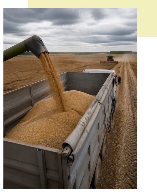 Перевозка урожая с поля в Кострому по цене от 5462 р. | Агросервис-Кст